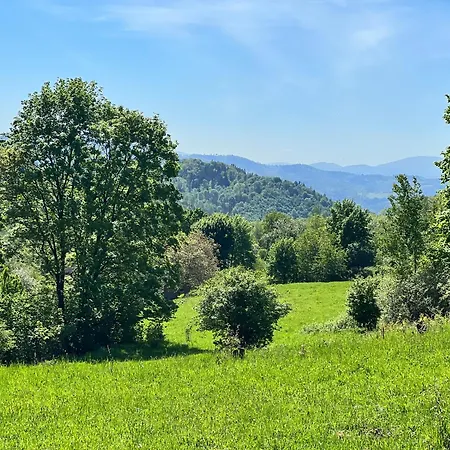 Osada Wellness Σαλέ
